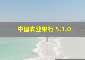 中国农业银行 5.1.0